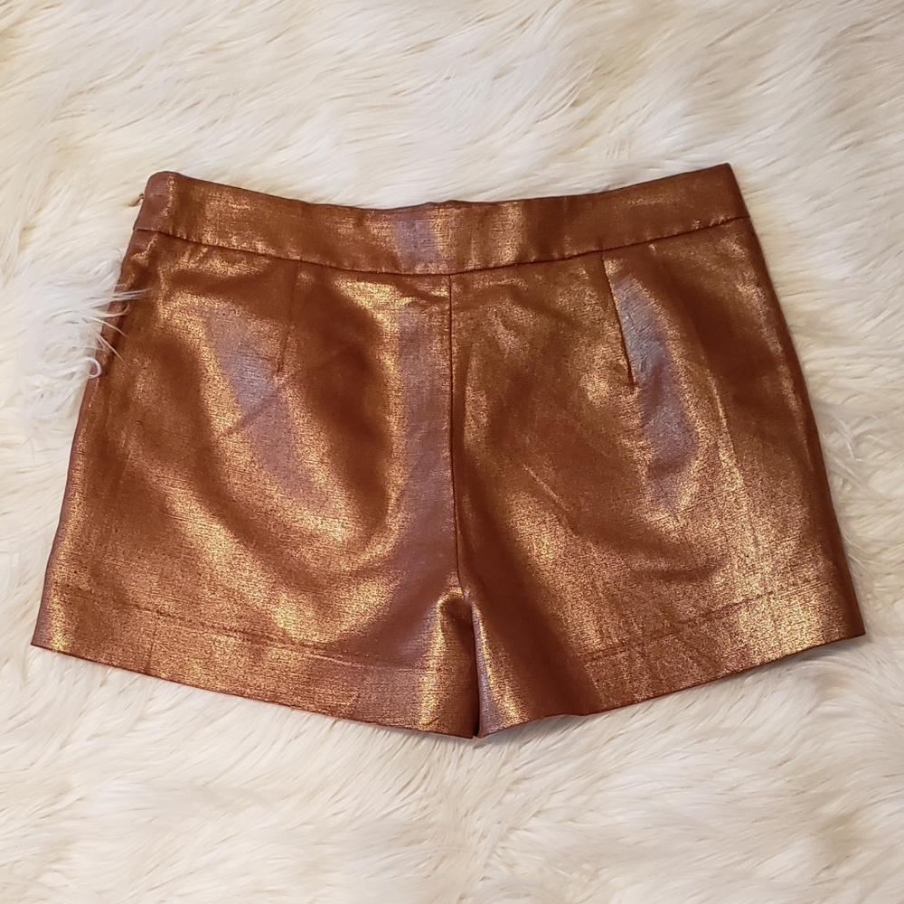 J.CREW ROSE GOLD SKORT - Picture 5 of 7